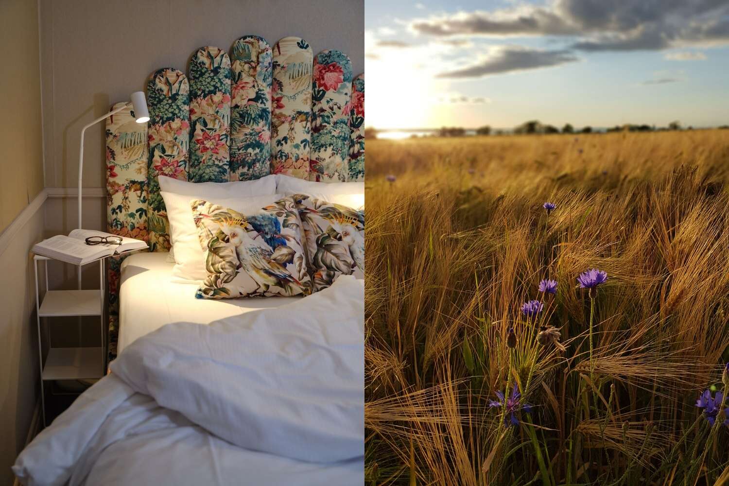 Säng med blommig sänggavel och kuddar med fågelmotiv på Grenna Hotell och solbelyst sädesfält med lila blommor