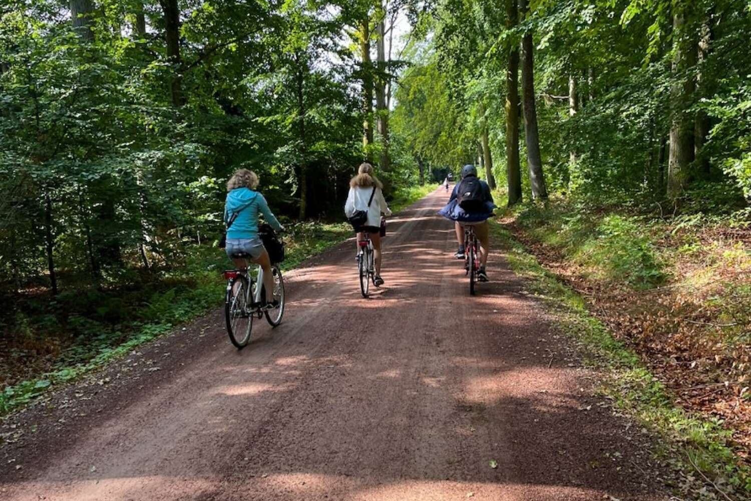 Tre personer cyklar på grusväg genom grönskande skog