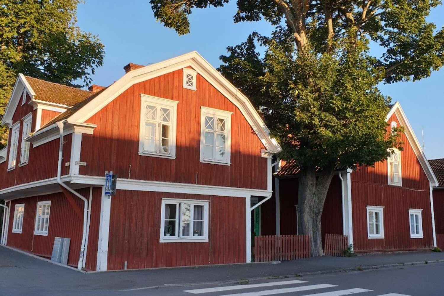 Röda trähus med vita knutar och stort träd vid gatan